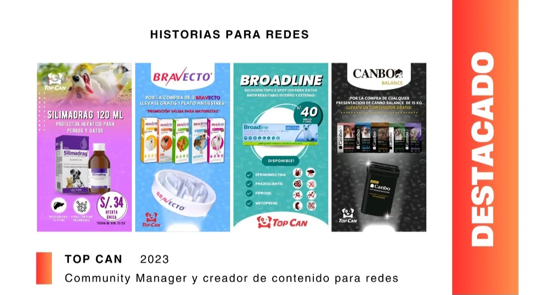 ¡Tu diseño de contenido para tus redes! ✅️