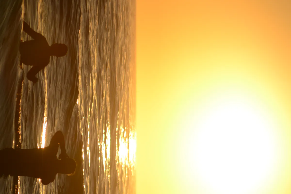 Edición de fotos para tu negocio, redes sociales o uso personal