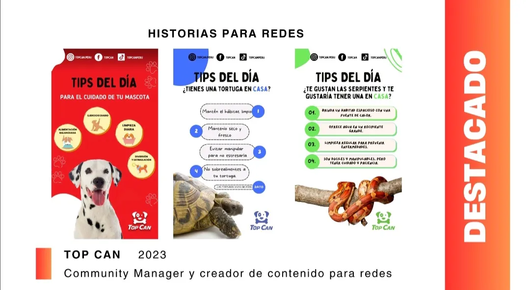 ¡Tu diseño de contenido para tus redes! ✅️