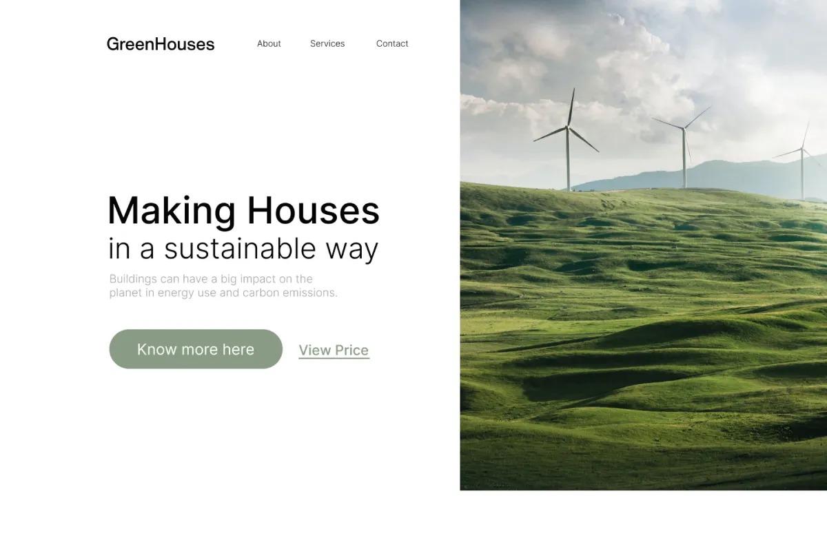 Webflow WEB Design and Developer