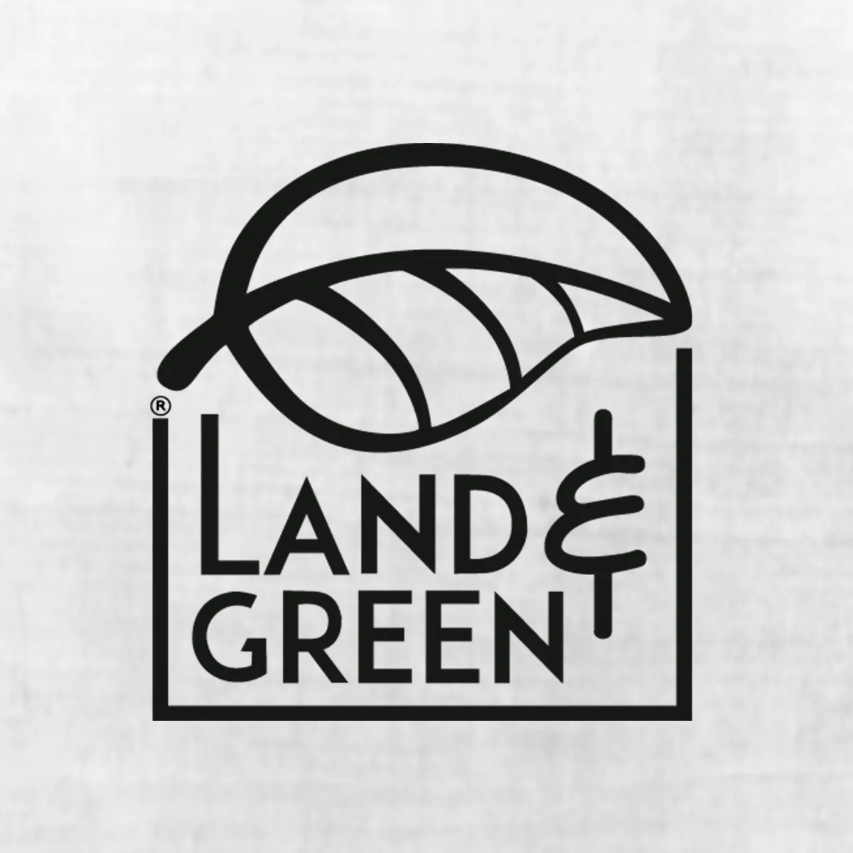 DISEÑO DE LOGO