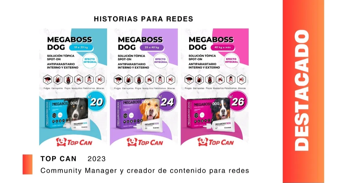 ¡Tu diseño de contenido para tus redes! ✅️
