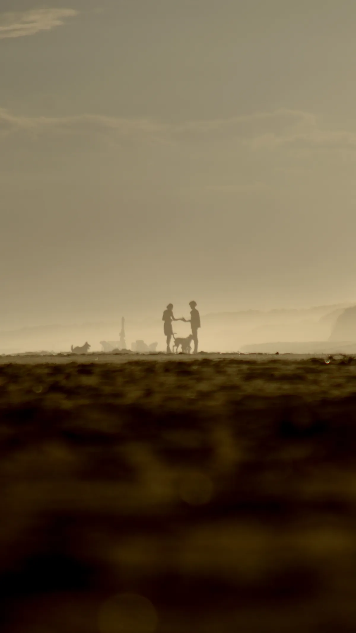 Edición de fotos para tu negocio, redes sociales o uso personal