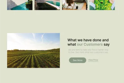 Webflow WEB Design and Developer