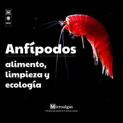 Haré contenido para tus redes sociales