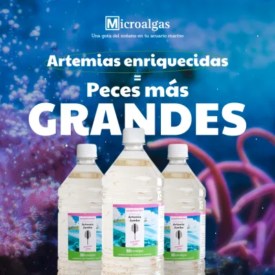 Haré contenido para tus redes sociales