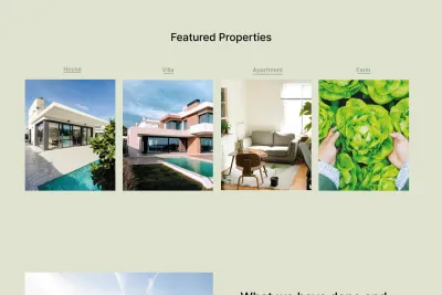 Webflow WEB Design and Developer