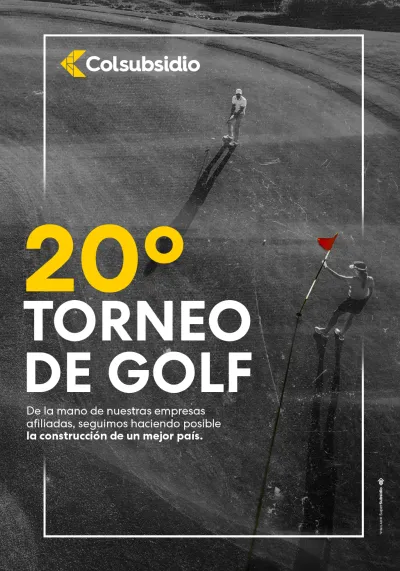 Diseñador Gráfico 