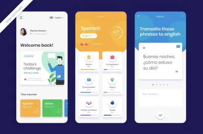 Diseñaré una aplicación moderna. Diseñador UI y UX