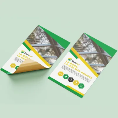 Diseñaré un volante gráfico, banner o folleto