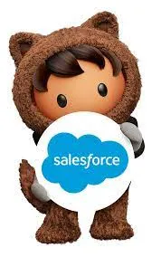 Salesforce Administrator and Developer