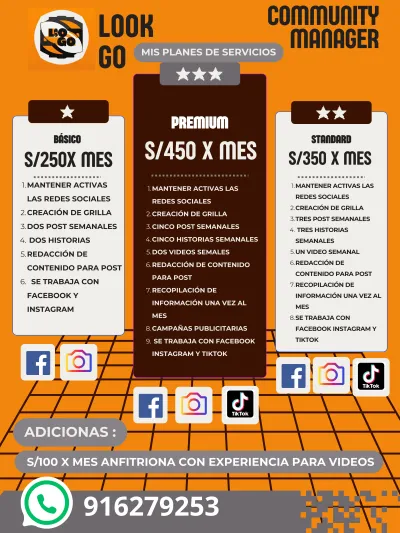 SERVICIO DE COMUNITY MANAGER