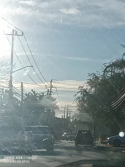 Traductor y transcriptor 