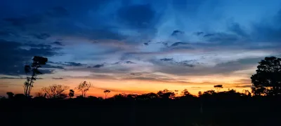 Redactar, transcribir, traducir... Generar ideas de un tema específico.